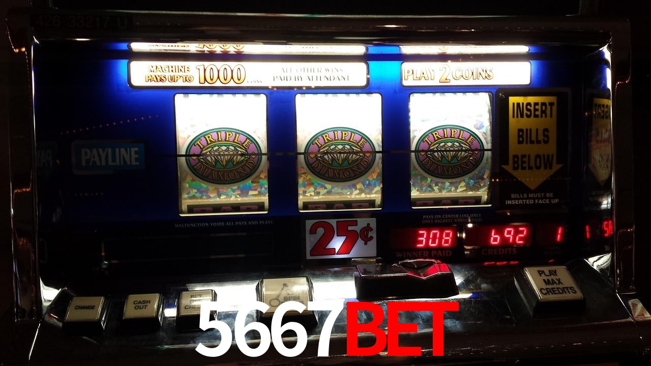 Experiência VIP 5667Bet